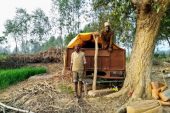 Winter or summer, a large number of farmers in Uttar Pradesh now spend the night in the fields